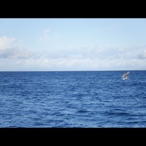 Meet your Posher, Mei